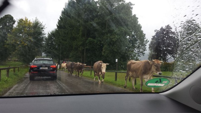 Европа на авто