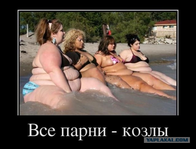 Они захотели и смогли