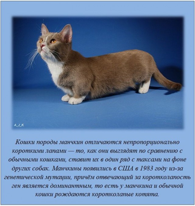 20 фактов обо всем