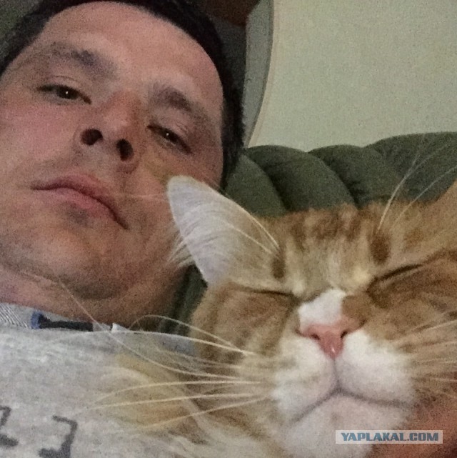 Котовторник 16.06.2015., Котовторник наступил!