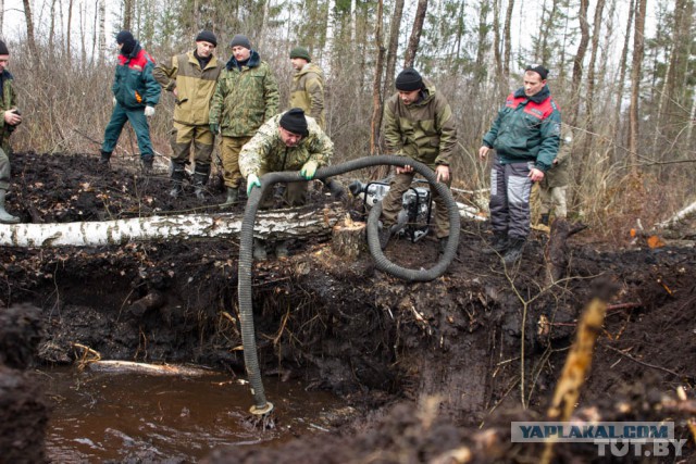 В поисках "призрака": репортаж с подъема КВ-1.