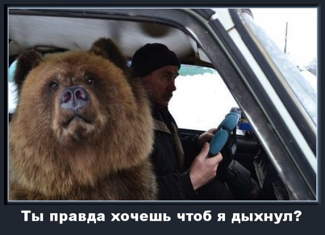 Веселые картинки.