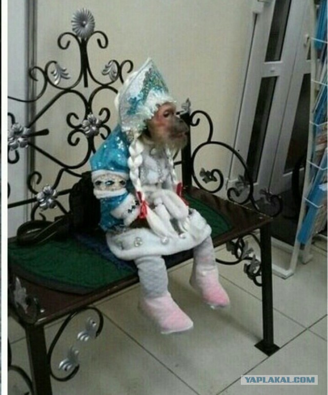 Новогодние демотиваторы 2016