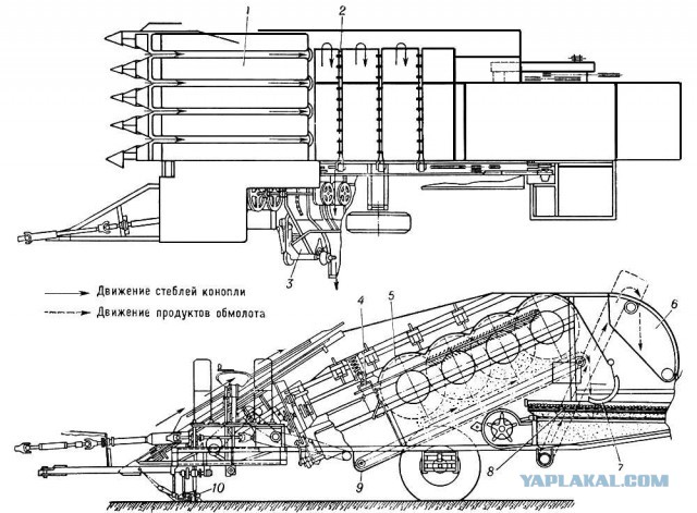 Конопля 36 лет назад