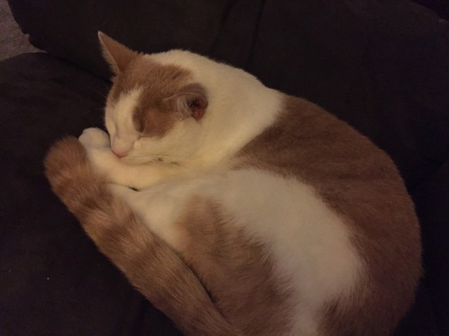 Подборка картинок