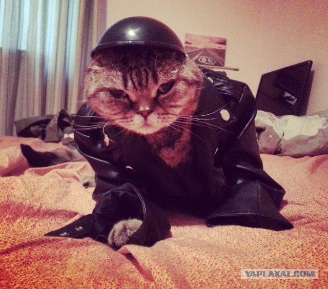 Джигурда вызывает грозу