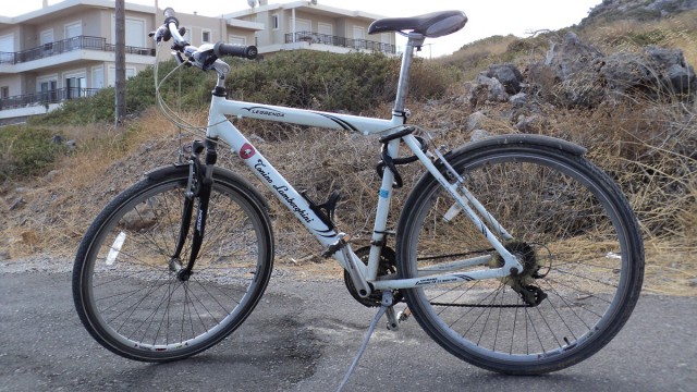 Тайги обожания пост