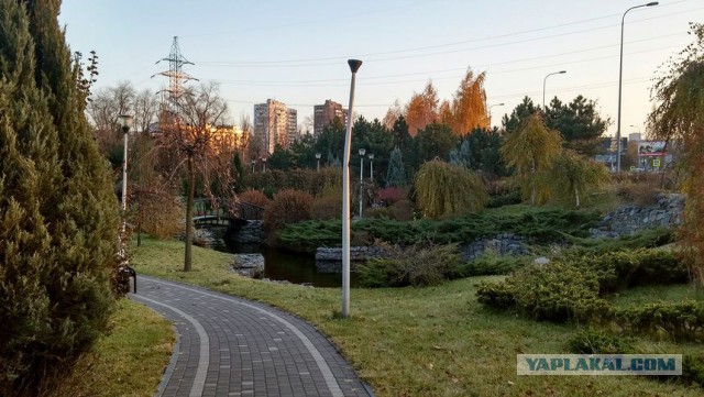 Новосибирск, бери пример с Донецка.