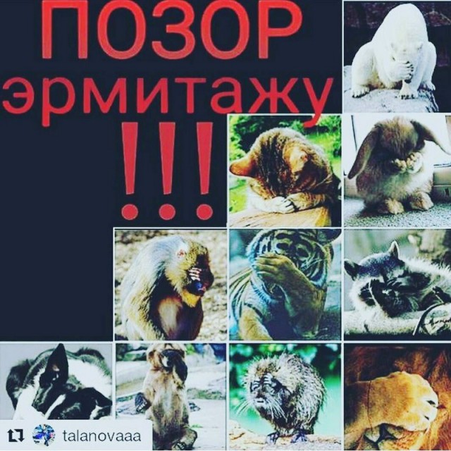 Это искусство?