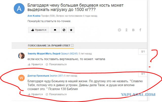 А ведь это жизнь