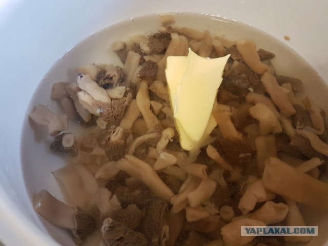 Весенний пост,сморчки и картофель