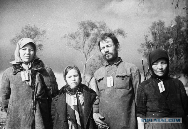 Несколько старых фото и люди на них.