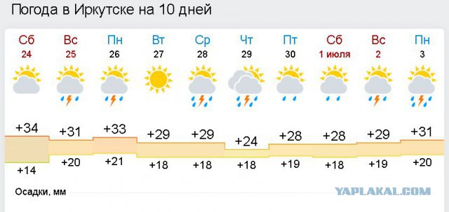 Вот оно какое, наше лето.