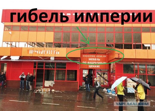 150 картинок для поднятия настроения!