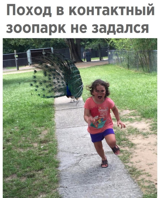 Всякая всячина