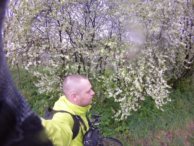 Я в другой стране живу?