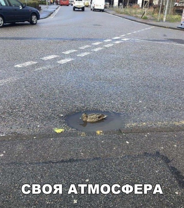 Нестандартный юмор