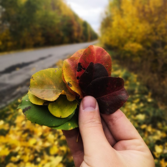 Сам себе фотограф