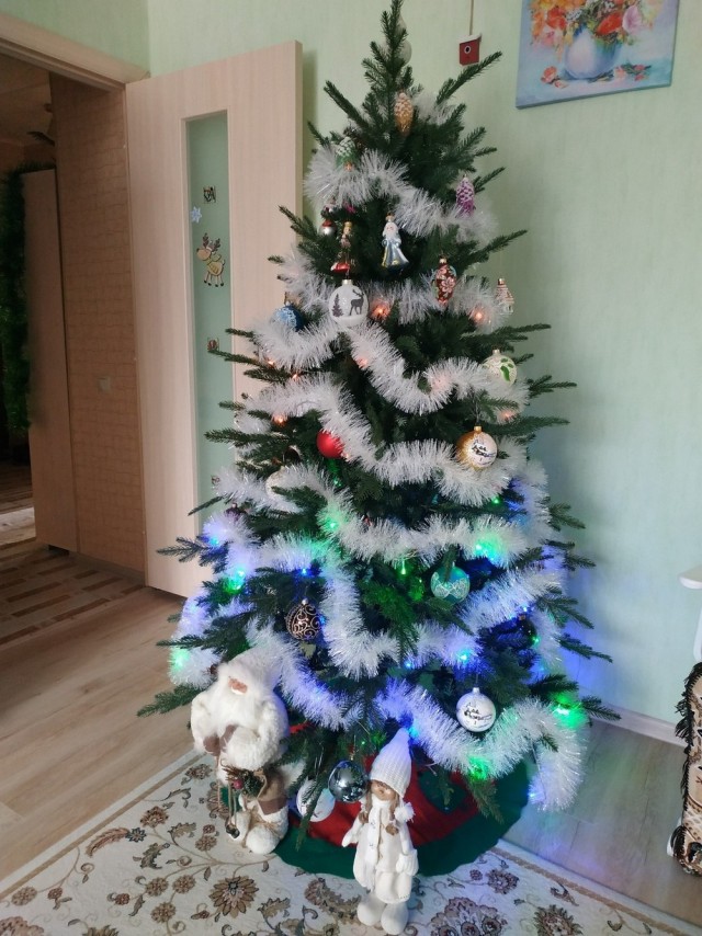 Хвастаемся своими елками!