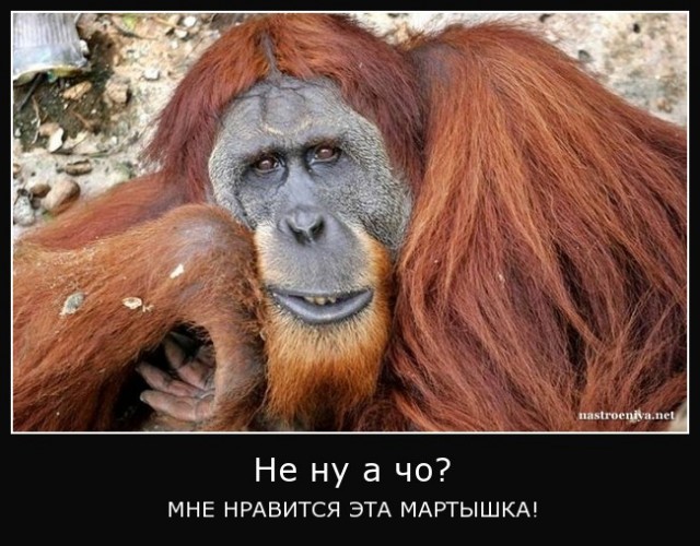 Американка отказалась от бритвы три года назад и вот, какой ужас получился в итоге. Строго 65+