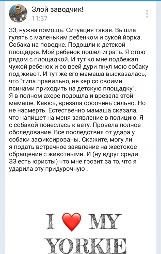 Москвичка на улице поссорилась с женщиной и забила до смерти ее собаку.