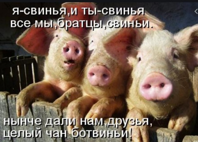 Юная китаянка