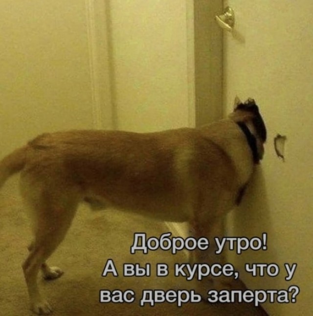 Срочно в номер