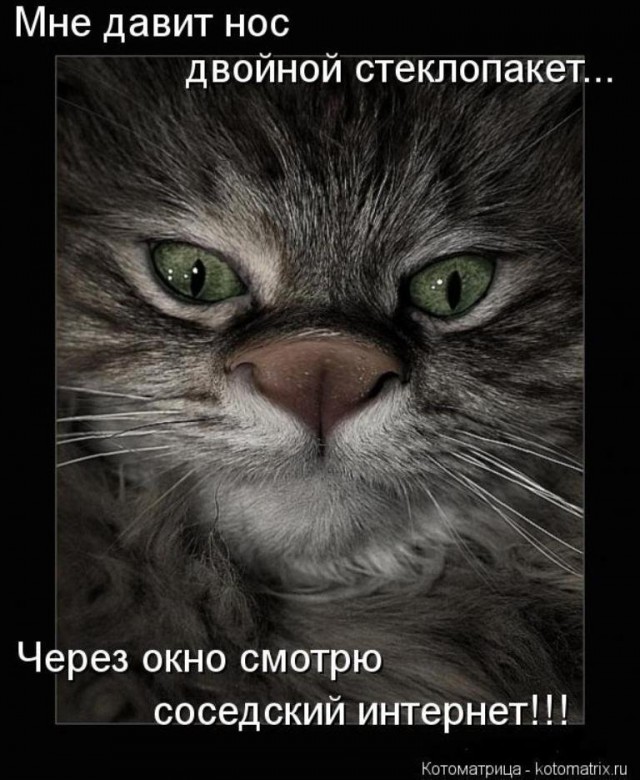 Лаф