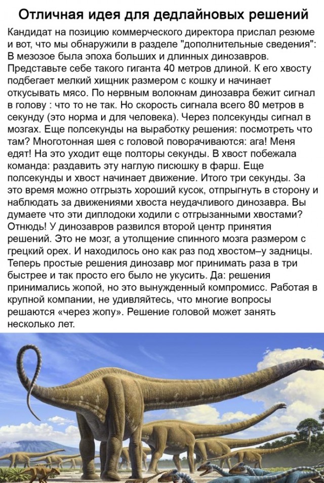 Картинки и мемы для настроения 01.02.2021