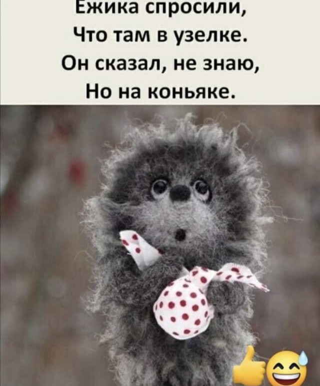 Весёлый полтишок 23.05