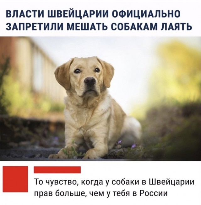 Власти назвали сумму штрафа за отдых на скамейках в Москве до 20 июня