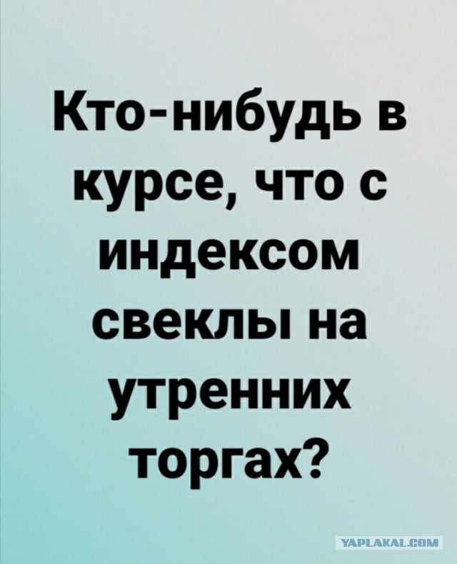 Встаем с колен