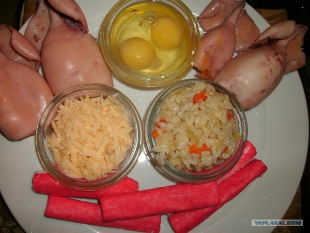 Кальмарики-Пузатые.