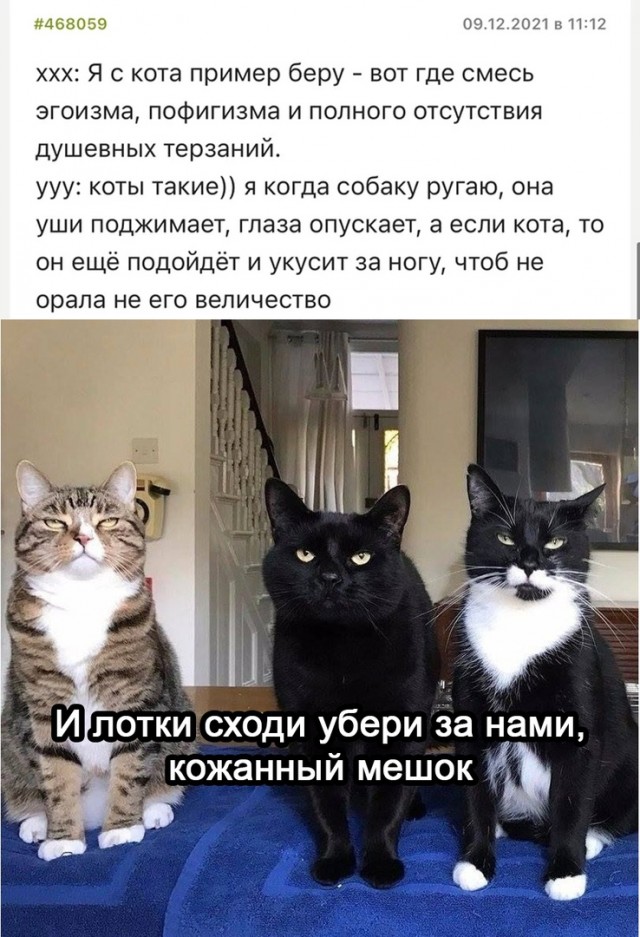 Так себе картинки 12.12.21