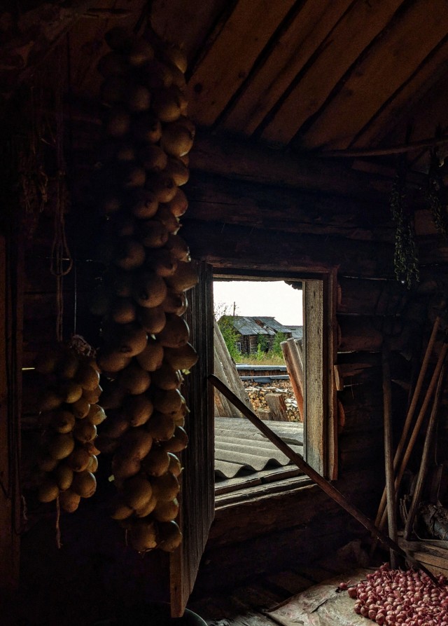 Мое небольшое увлечение. Мобильная фотография