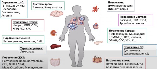 Пандемия. Коронавирус и съехавшие крыши. Россия и мир. Часть 31.