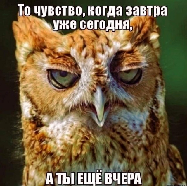 Весёлый полтишок 28.03.22