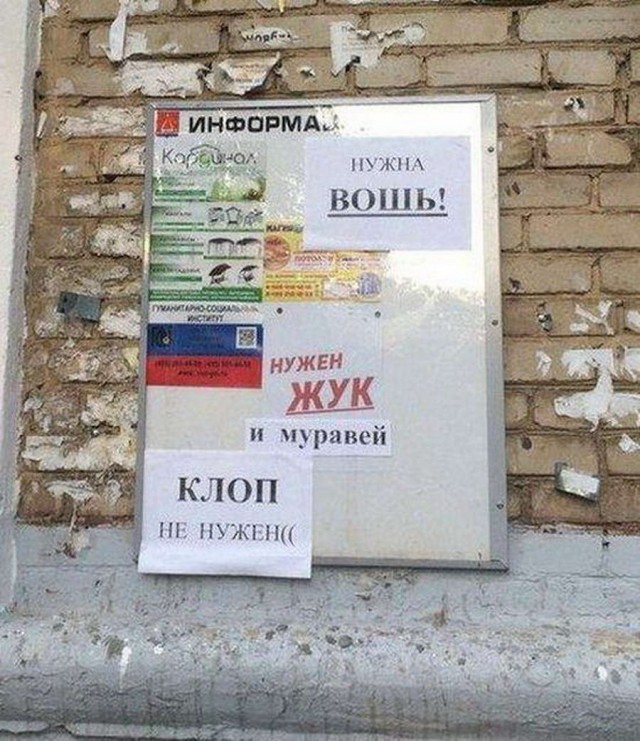 50 оттенков серого Vol.5 . Или самосвал баянов