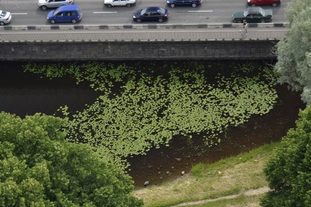 Поездка в Выборг