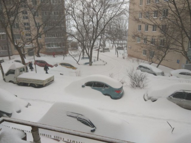 Мой Владивосток