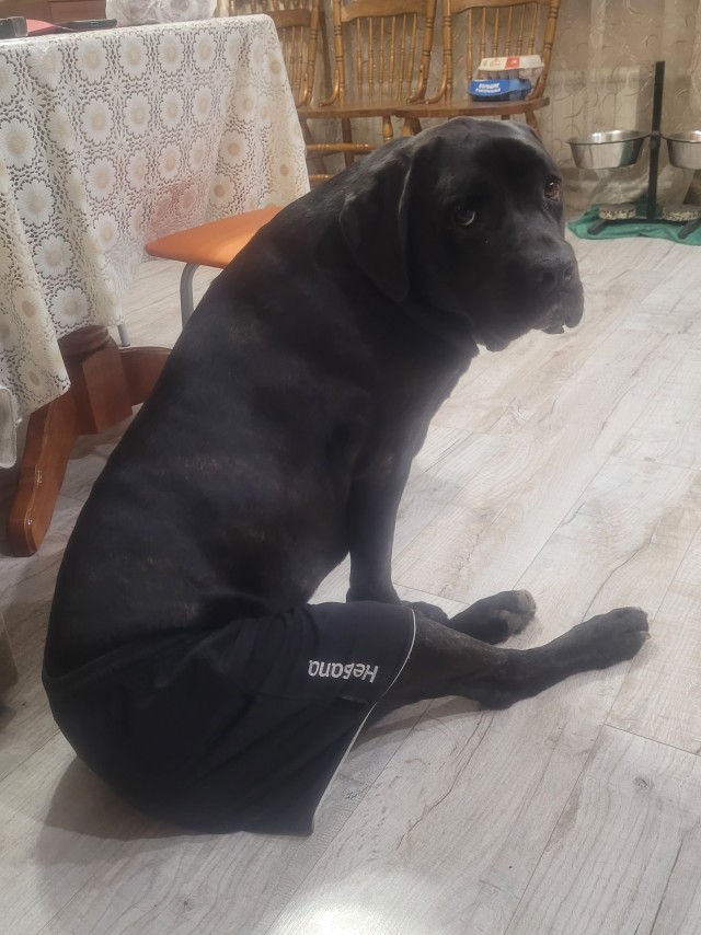 Ну, типа, с четвергом!