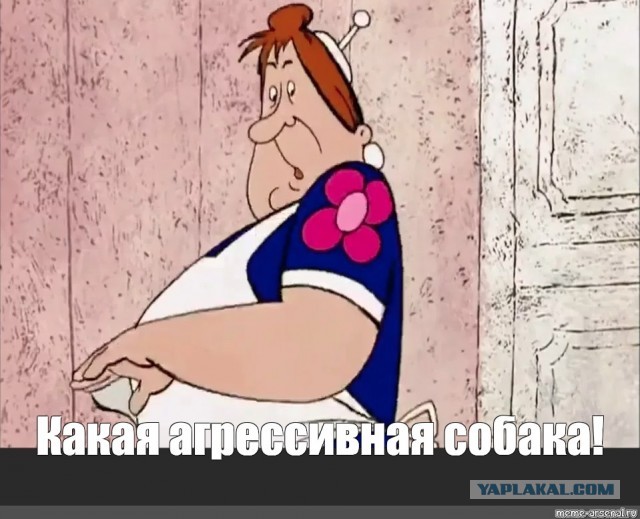 В Уфе мужчина так испугался лая маленькой собачки, что избил ее 16-летнего хозяина на глазах у своего сына