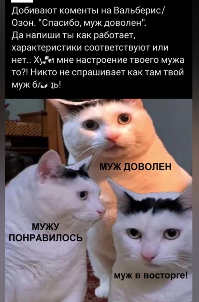 Я тёща. Проблемы с зятем. Дайте совет