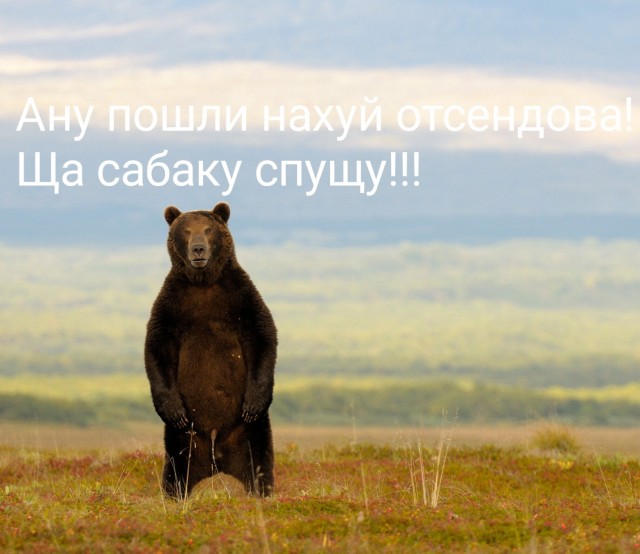 Правильное мнение: Отличие баб от женщин