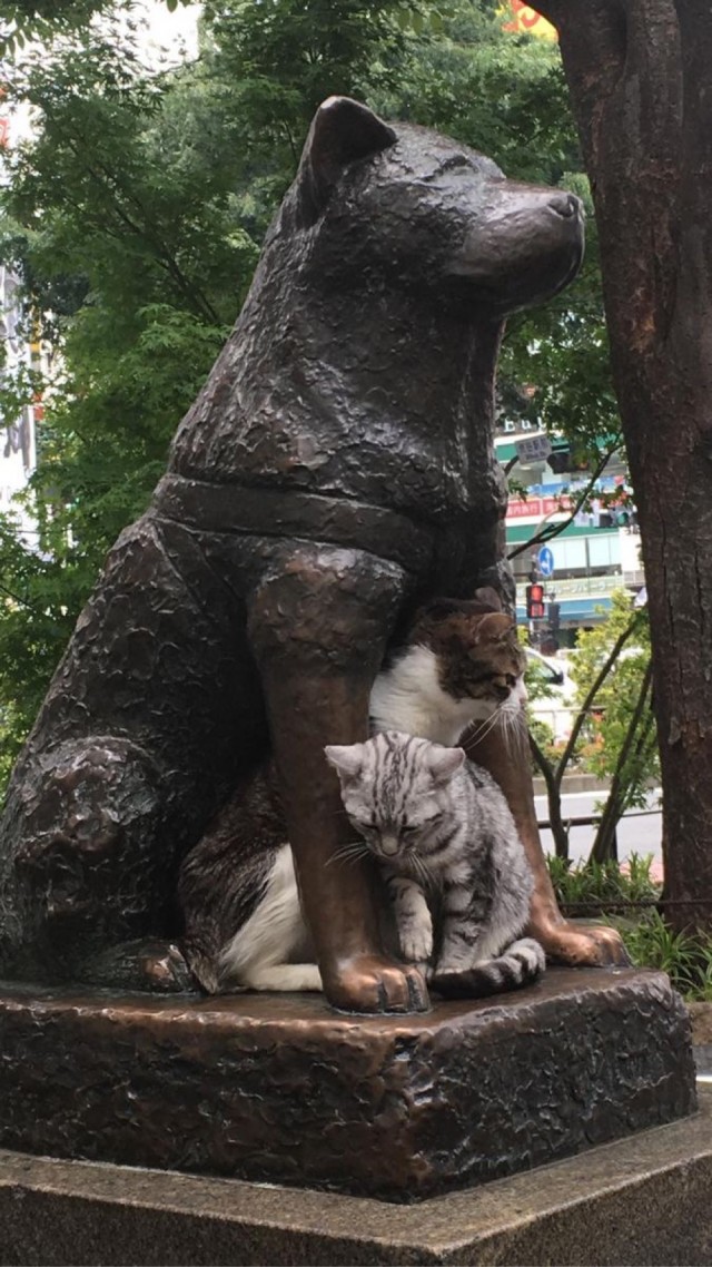 Такой маленький, а уже белорус