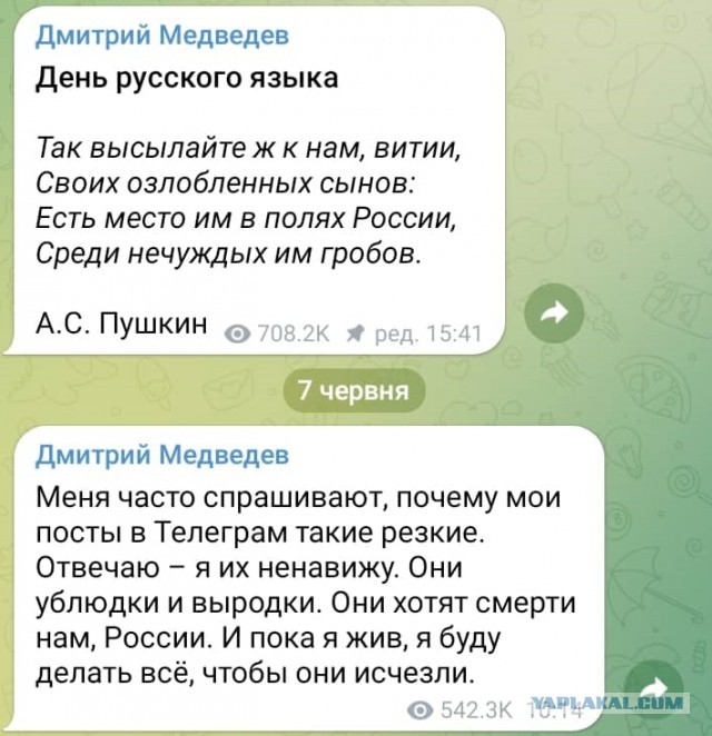 Актриса Полина Меньших была убита во время концерта в ДНР