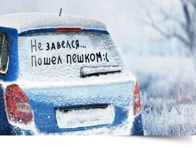 Так себе картинки 24.11.23