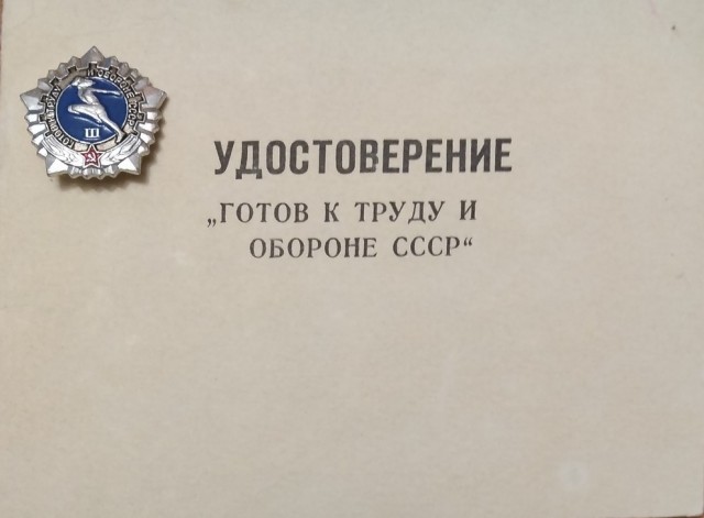 Сдачу нормативов ГТО в российских школах предложили сделать обязательной
