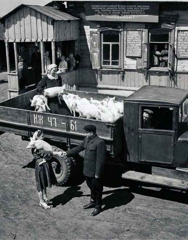 Фотографии из прошлого нашей страны – 61