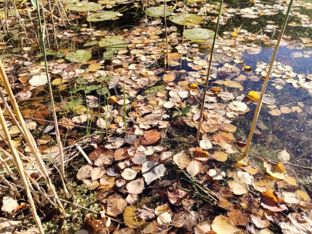 Осень на озёрах 2